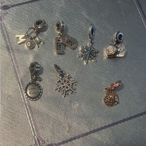 Pandora charms sold please ask me to make a seperate post of what you like